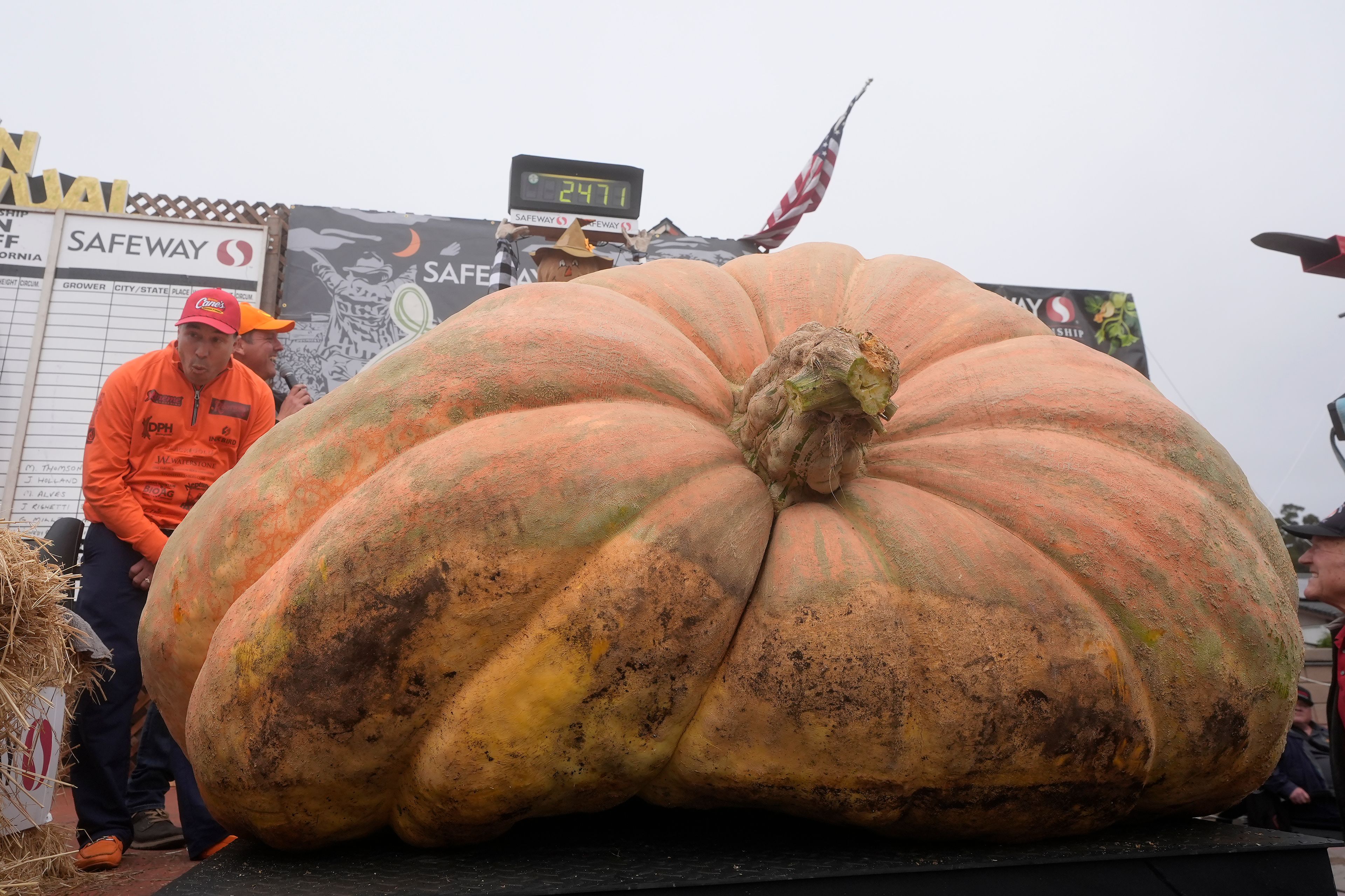 Travis Gienger, of Anoka, Minn., reacts as his pumpkin weighs in at 2,471 pounds to win at the Safeway World Championship Pumpkin Weigh-Off in Half Moon Bay, Calif., Monday, Oct. 14, 2024. (AP Photo/Jeff Chiu)