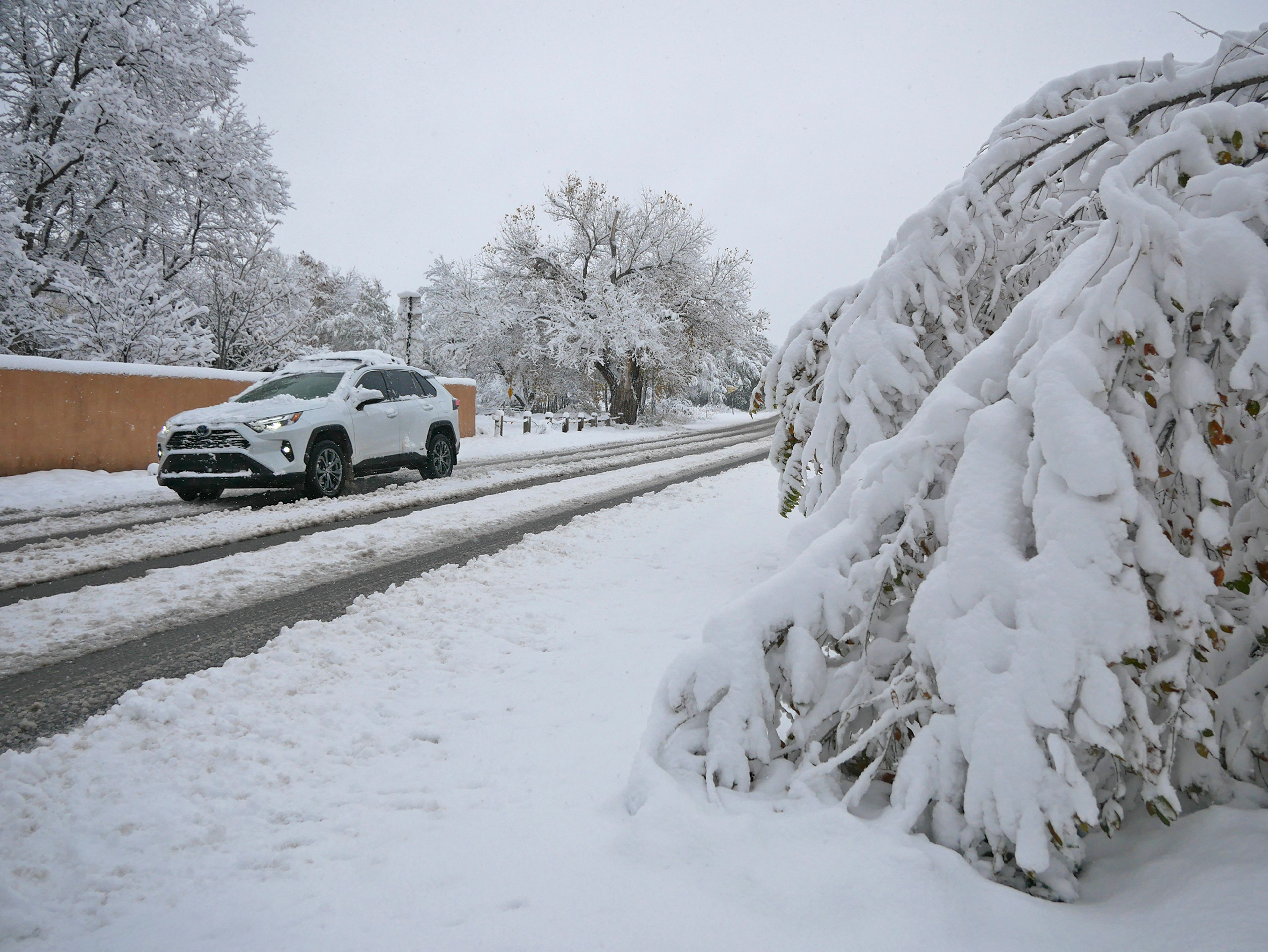 Heavy snow weighs down tree branches along a state highway near Pojoaque, New Mexico, on Thursday morning, Nov. 7, 2024. (Matt Dahlseid/The New Mexican via AP)