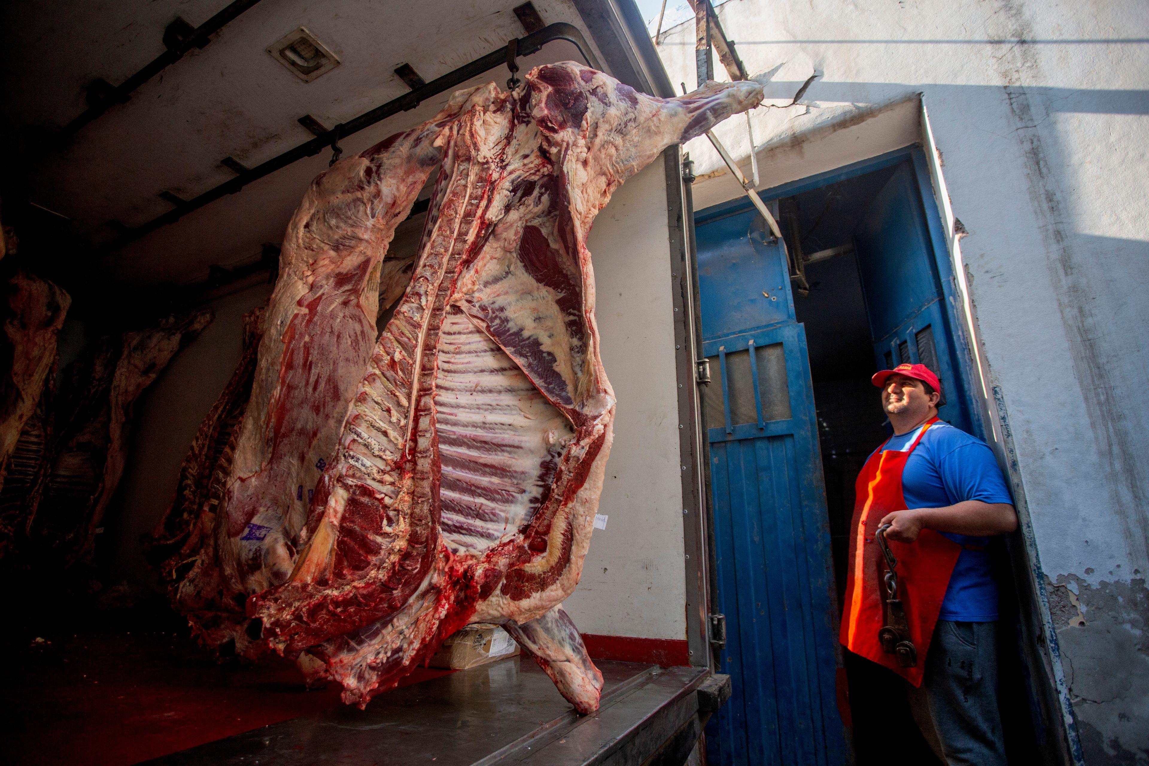 A butcher looks at fresh meat that arrived to sell at the shop where they accept "chacho" currency as payment in La Rioja, Argentina, Wednesday, Sept. 25, 2024. In response to slashed federal budgets to provinces, La Rioja is printing a new emergency tender called "chachos" to pay state workers and spur the economy. (AP Photo/Natalia Diaz)