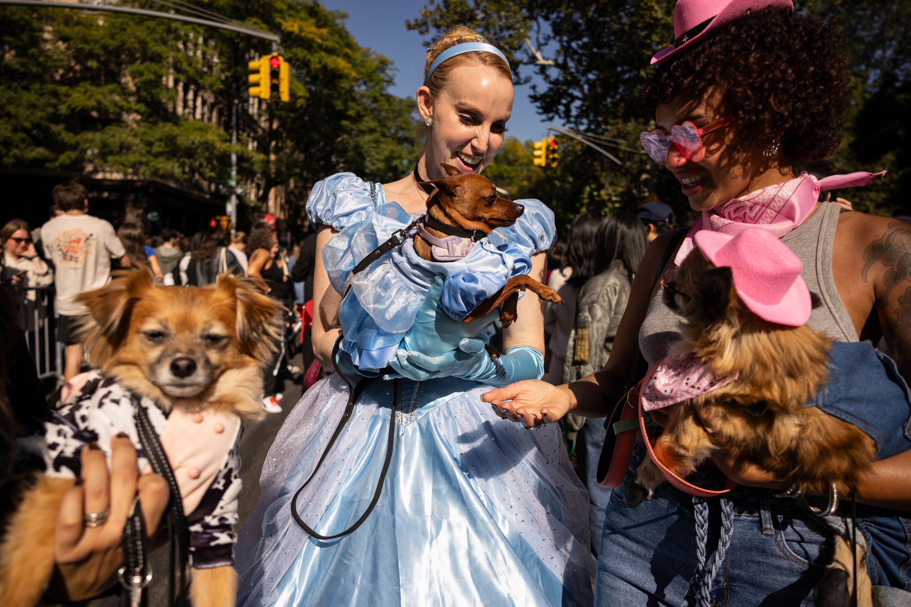 People and their dogs in costume participate in the 34th annual Tompkins Square Halloween Dog Parade, Saturday, Oct. 19, 2024, in New York. (AP Photo/Yuki Iwamura)