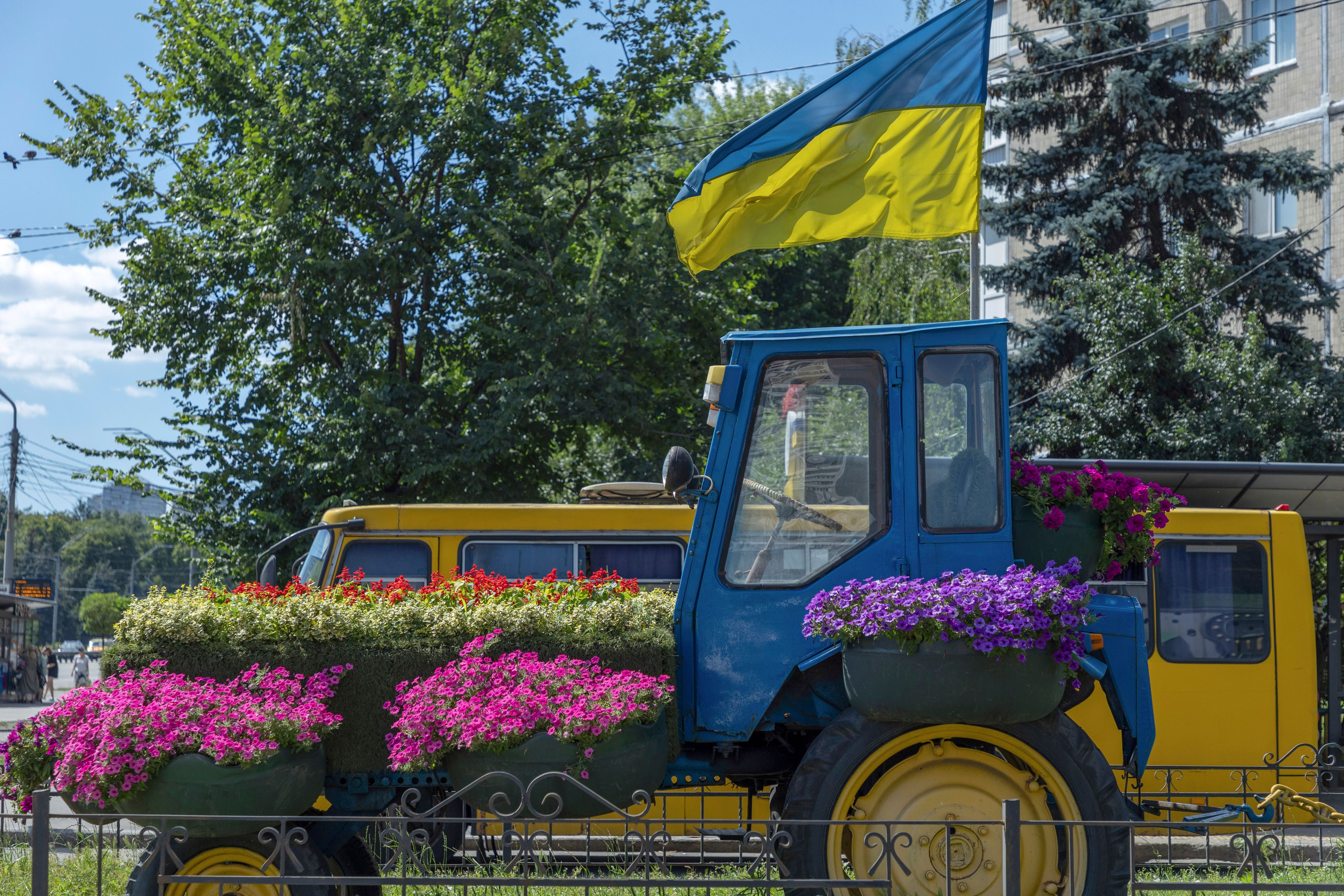 A traсtor decorated with flowers and a Ukrainian flag, is seen in Kyiv, Ukraine, Wednesday, June 26, 2024. The tractor symbolises Ukrainian resilience, reminiscent of the early days of the full-scale invasion when ordinary people used tractors to help the military transport abandoned Russian equipment. Despite hardships brought by war flowers fill Kyiv and other Ukrainian cities. (AP Photo/Anton Shtuka)