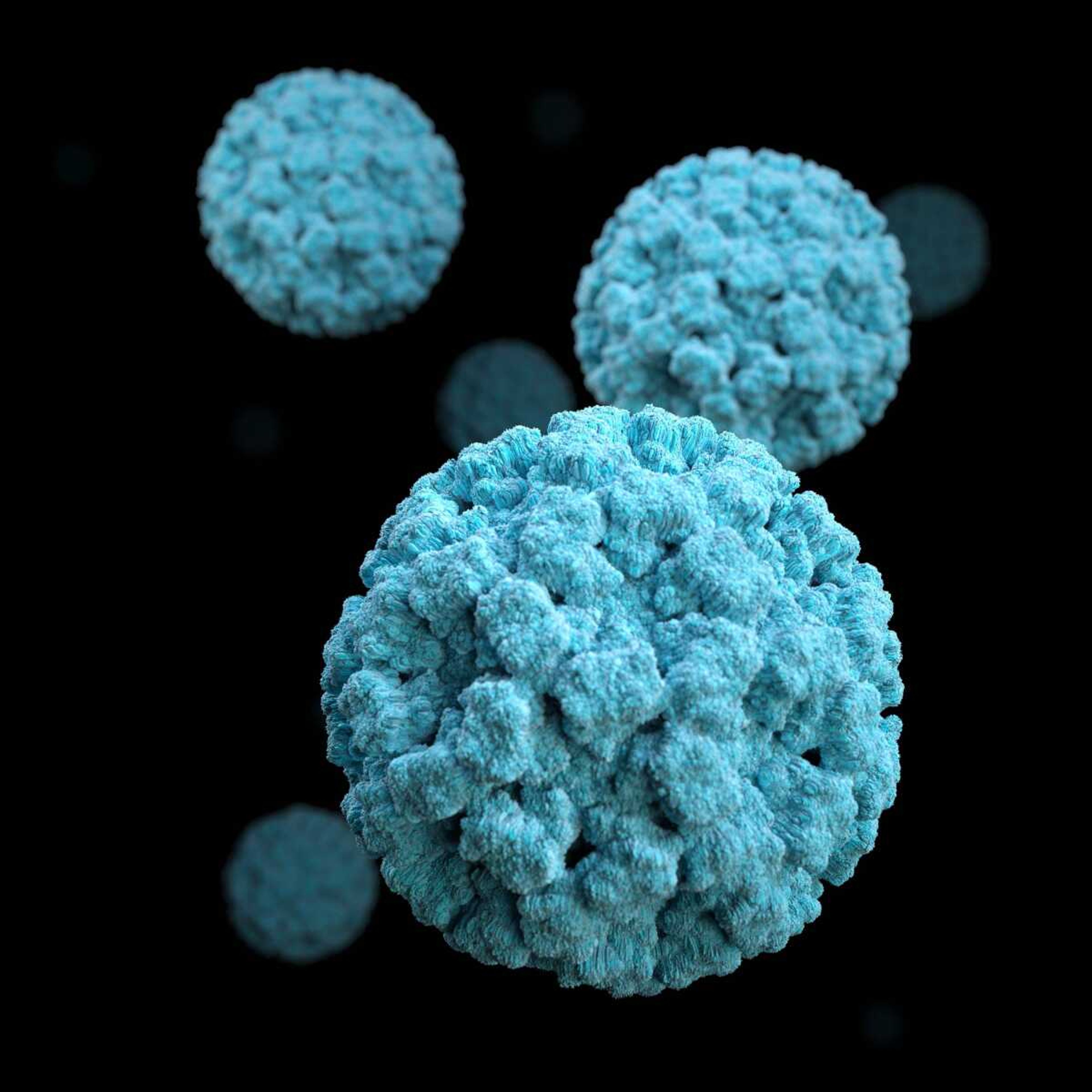 Two virus-related deaths reported