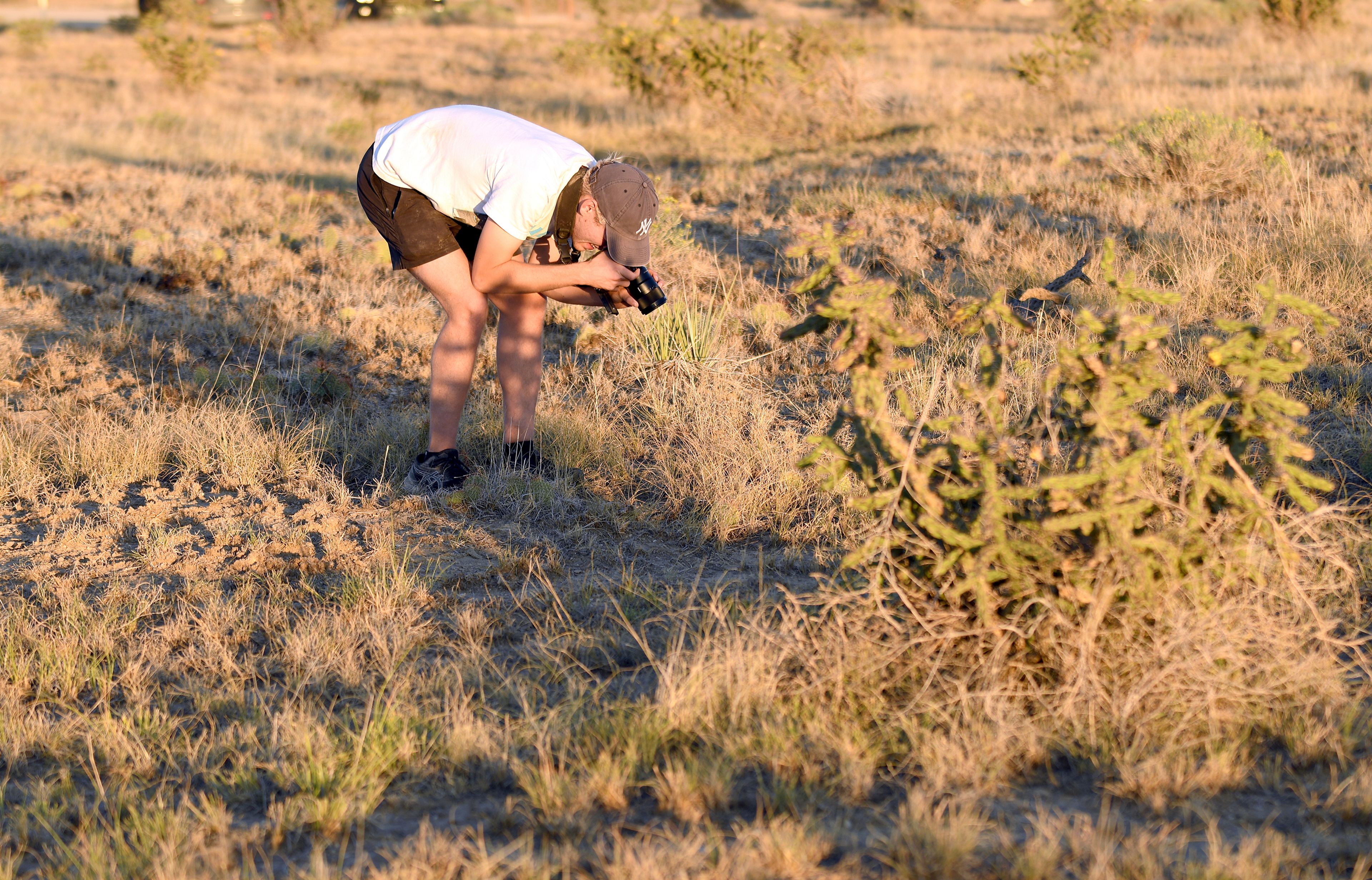 Andrew Motte, a filmmaking student at Montana State University, films a tarantula on the plains near La Junta, Colo., on Saturday, Sept. 28, 2024. (AP Photo/Thomas Peipert)