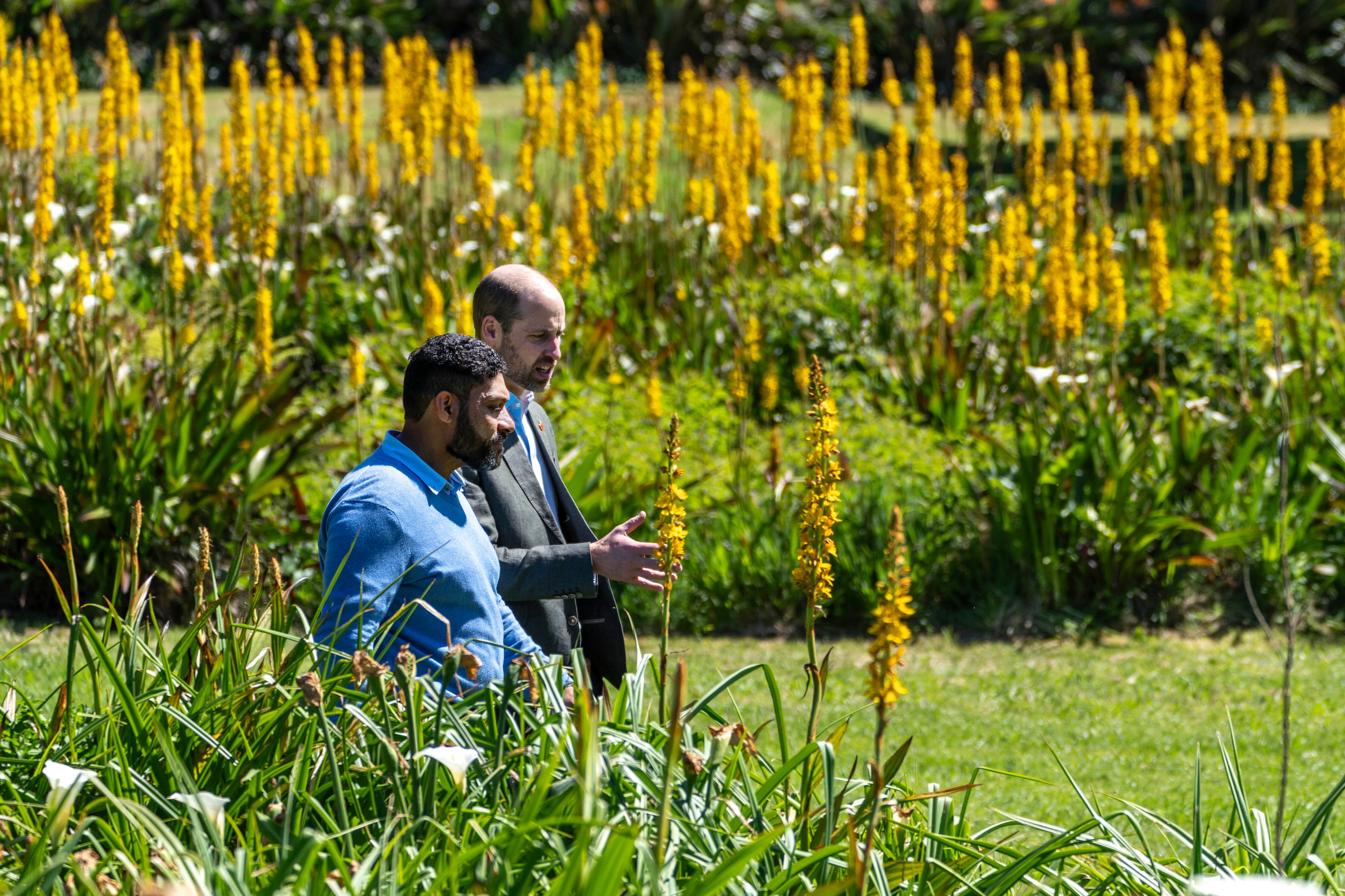 Britain's Prince William, accompanied by Garden Director Werner Voigt, walks through the Kirstenbosch Botanical Gardens in Cape Town, South Africa, Wednesday, Nov. 6, 2024. (AP Photo/Jerome Delay, Pool)