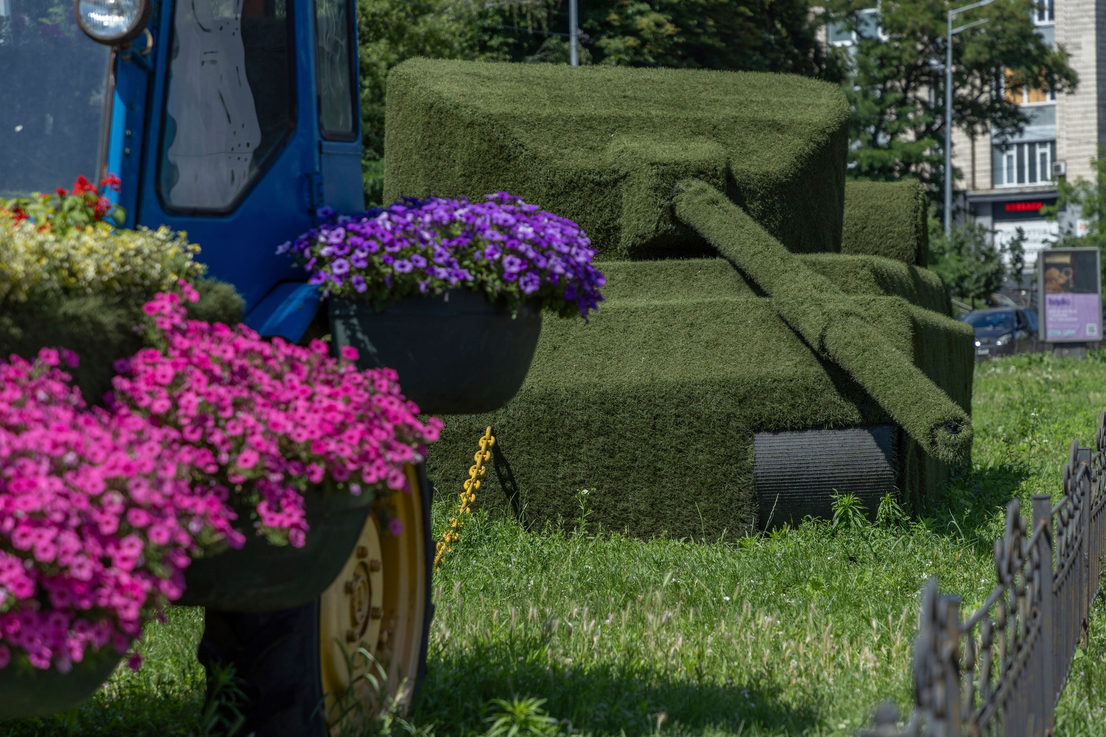 A tractor decorated with flowers is seen linked with a chain to a grass-covered Russian tank, in Kyiv, Ukraine, Wednesday, June 26, 2024. The tractor symbolises Ukrainian resilience, reminiscent of the early days of the full-scale invasion when ordinary people used tractors to help the military transport abandoned Russian equipment. Despite hardships brought by war flowers fill Kyiv and other Ukrainian cities. (AP Photo/Anton Shtuka)