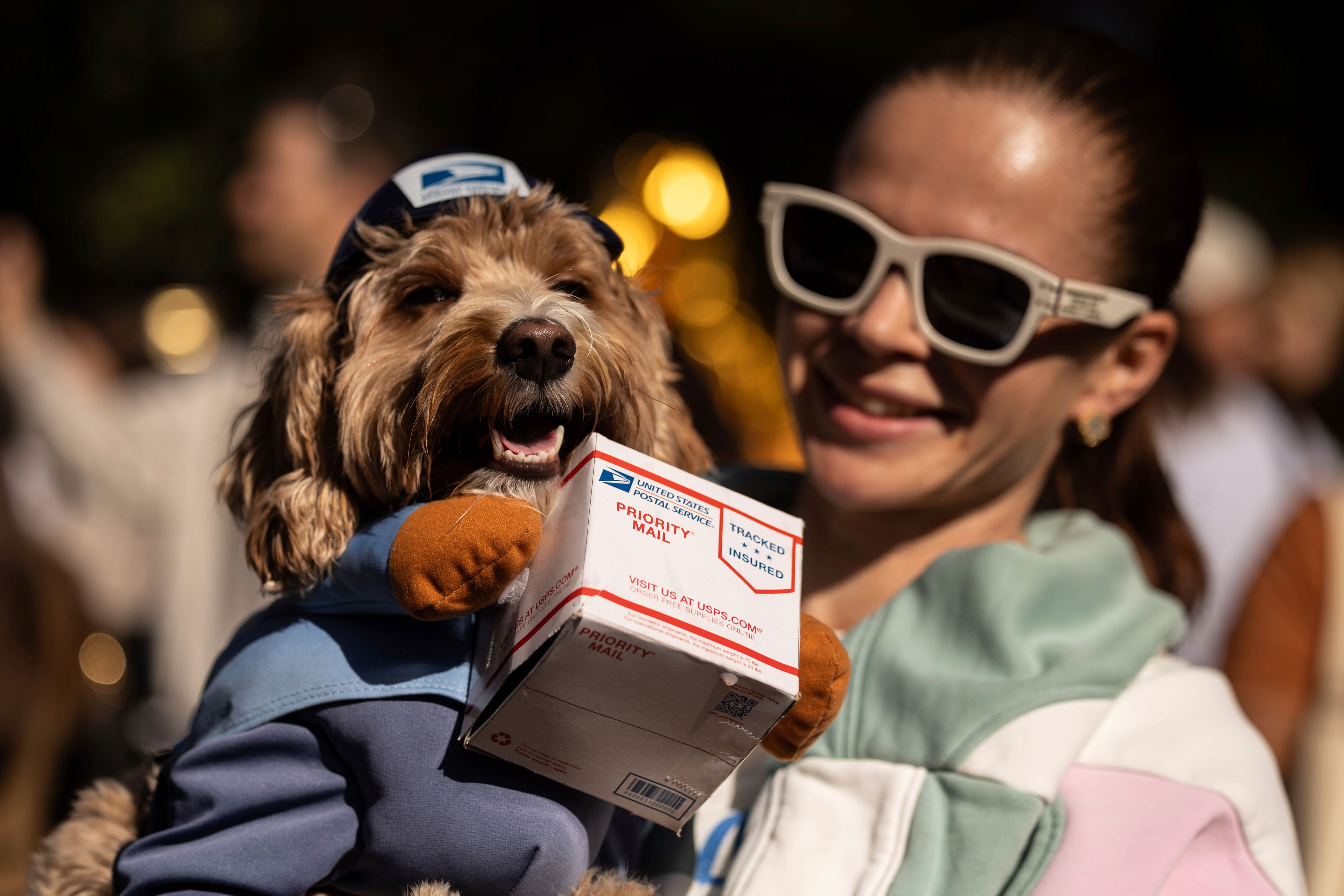 Pups on parade: Dogs dressed to the nines for annual New York City Halloween event